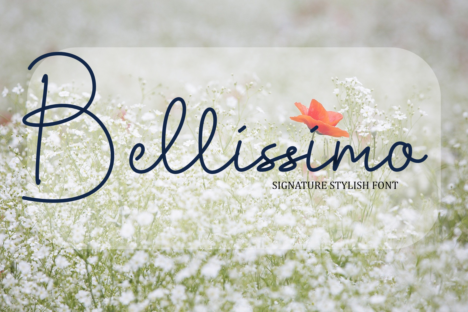Bellissimo, Fonts GraphicRiver